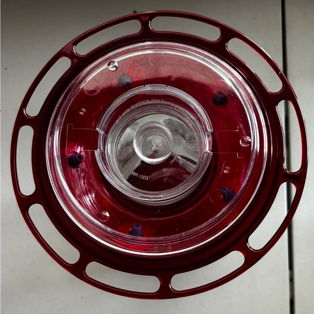 More Birds Red Plastic 40oz Bug Gulp Hummingbird Feeder